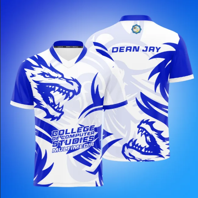 Presentation Layout project